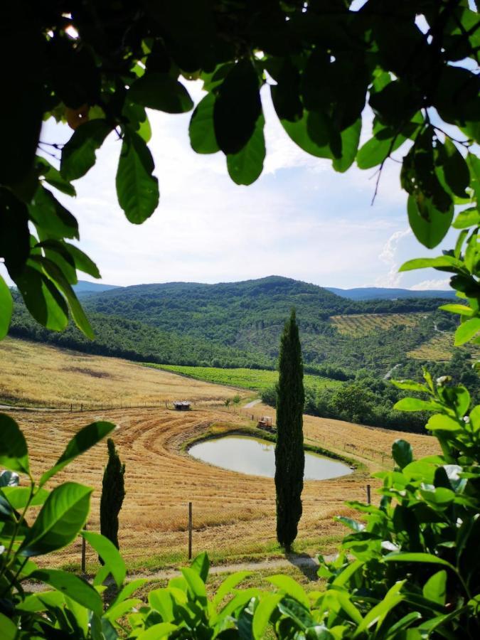 Agriturismo Selvella Allerona Luaran gambar