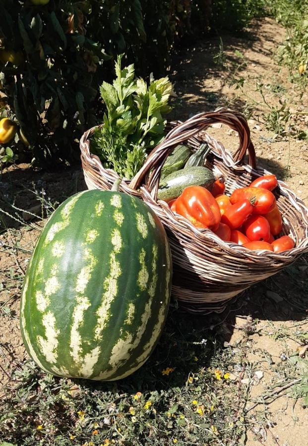Agriturismo Selvella Allerona Luaran gambar