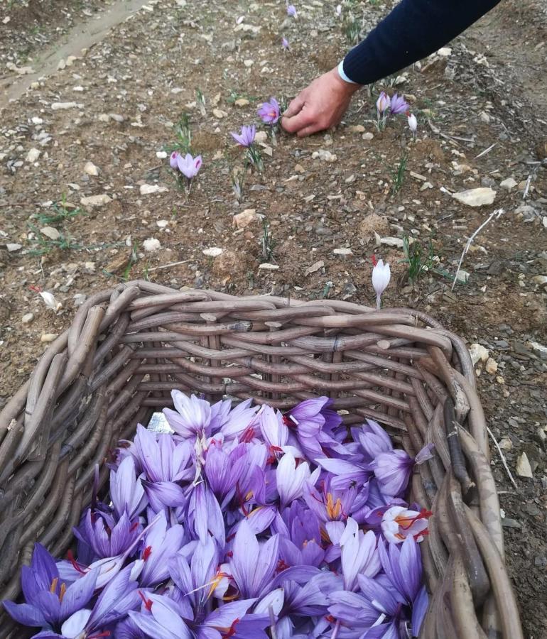 Agriturismo Selvella Allerona Luaran gambar